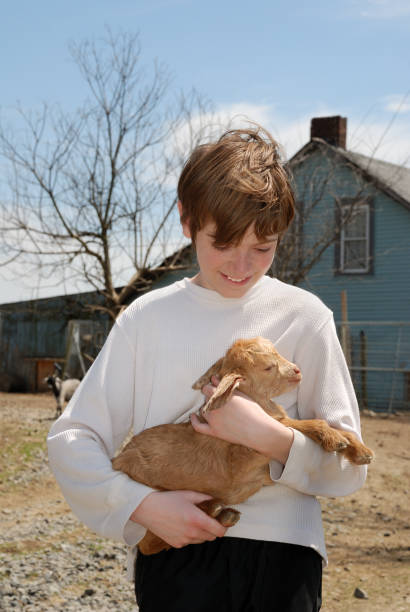istock Boy holding baby goat on farm 111939328
