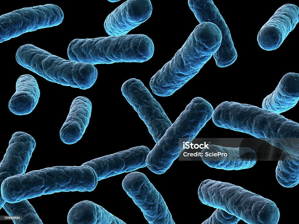 Illustrazione di batteri - Foto stock royalty-free di Batterio