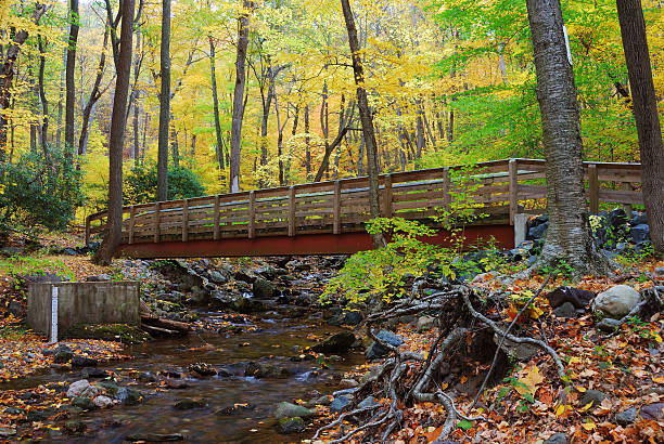 istock Autumn wood bridge over creek 111942152