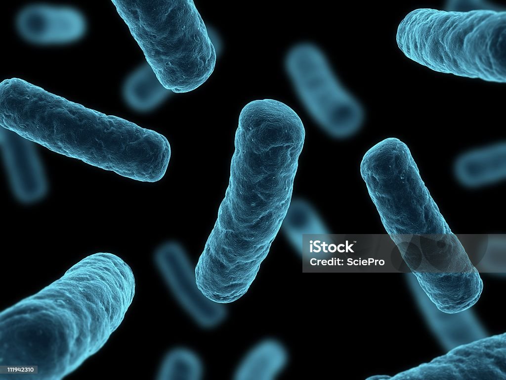 Бактерии иллюстрация - Стоковые фото Бактерия роялти-фри
