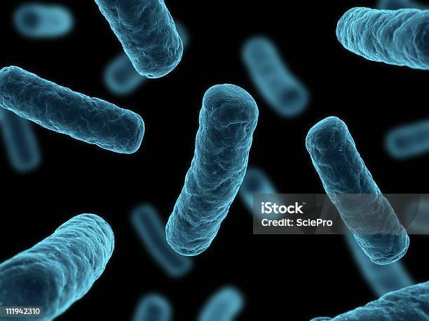Бактерии Иллюстрация — стоковые фотографии и другие картинки Бактерия - Бактерия, Без людей, Биология