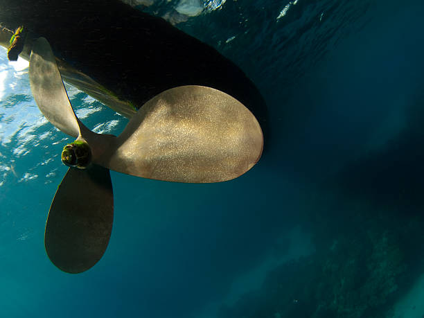 Underwater wide angle photography from a screw surrounded from tropical reef landscape.
