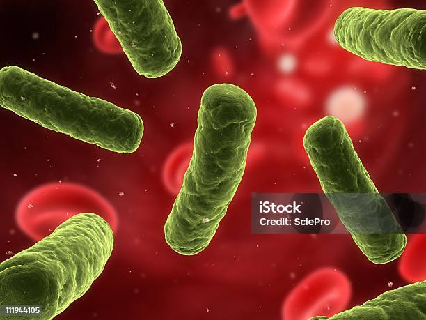 Bacteria Infection Stock Photo - Download Image Now - Virus, Bacterium, Biological Cell