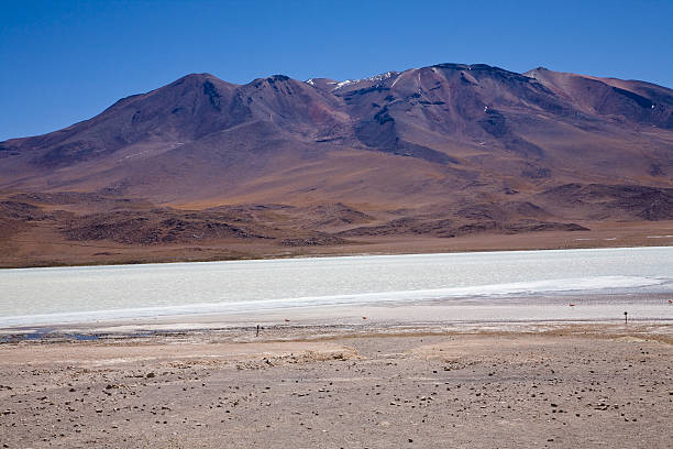istock Bolivian Altiplano 111944142