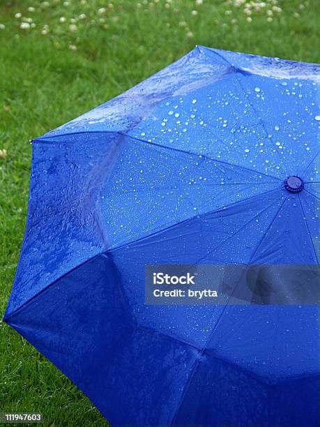 雨の日です - 傘のストックフォトや画像を多数ご用意 - 傘, 雨, 夏