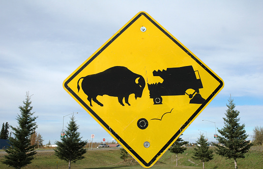Yellow signpost warning for buffalo collision,Alaska;USA.