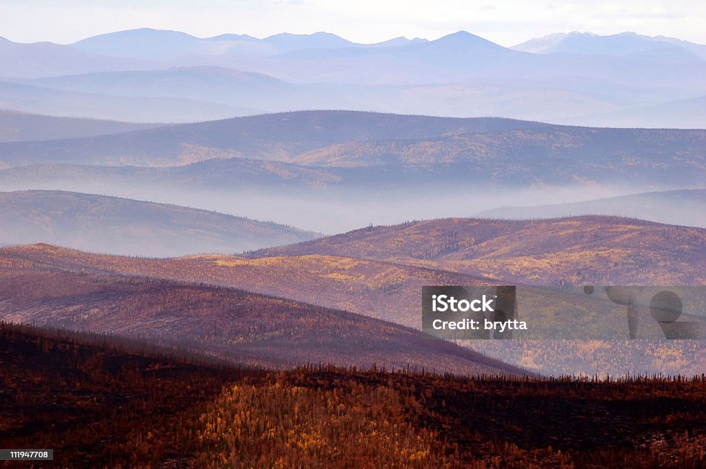 Verzweiflung - Lizenzfrei Abgerissen Stock-Foto