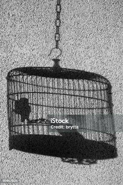 Photo libre de droit de Ombre De Oiseau Cage Contre Mur En Noir Et Blanc banque d'images et plus d'images libres de droit de Abstrait - Abstrait, Artificiel, Cage