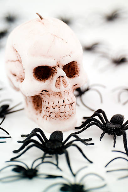 istock Scary skull and plastic spiders for halloween 111948418