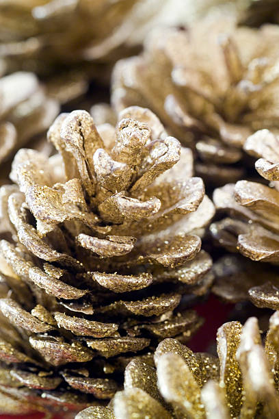 istock Gold christmas fir cones 111948594