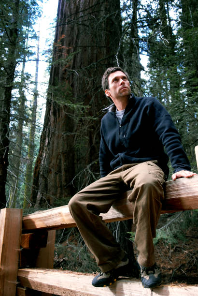 caminhante contemplativa - sequoia national forest - fotografias e filmes do acervo