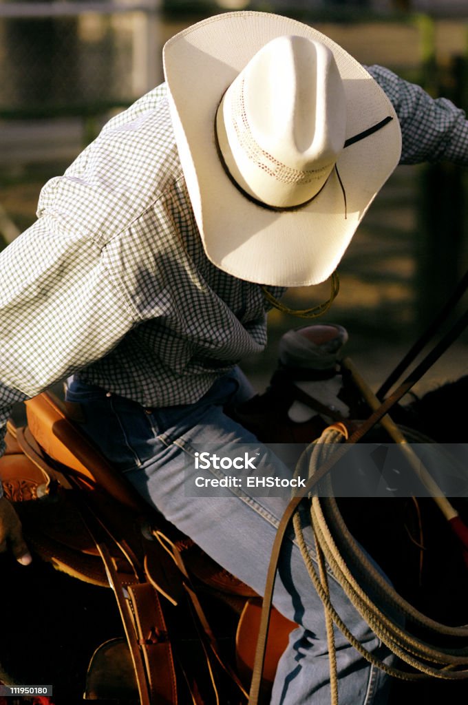 Rodeo Cowboy su cavallo in vitello Roper cavalcare pronto - Foto stock royalty-free di Adolescente