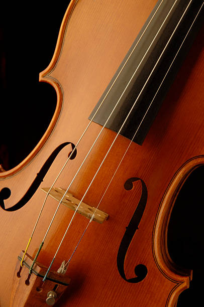 istock New Violin Rosewood Tailpiece Cropped on Black 111950823