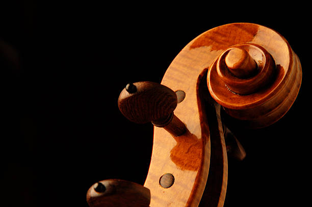 istock Elegant Violin Scroll and Rosewood Tuning Pegs on Black 111950829