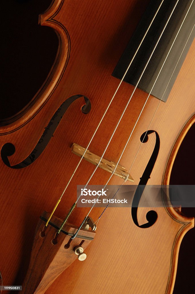 Graceful Violin Body on Black with Rosewood Tailpiece Antique Stock Photo