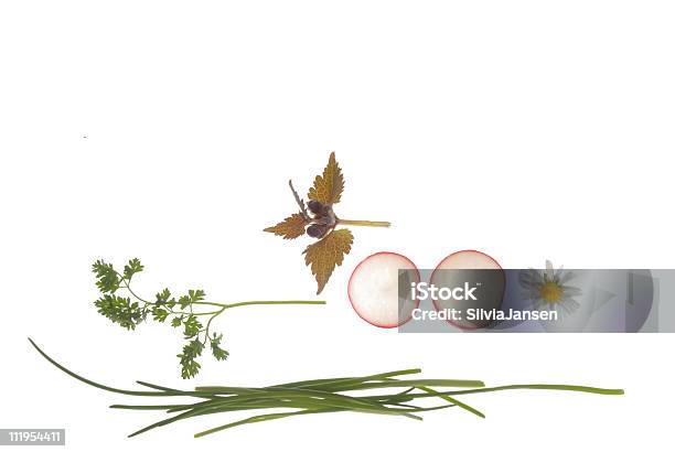 Ervas Aromáticas Secas E Wilfflowers - Fotografias de stock e mais imagens de Alimentação Saudável - Alimentação Saudável, Cebolinho, Cerefólio