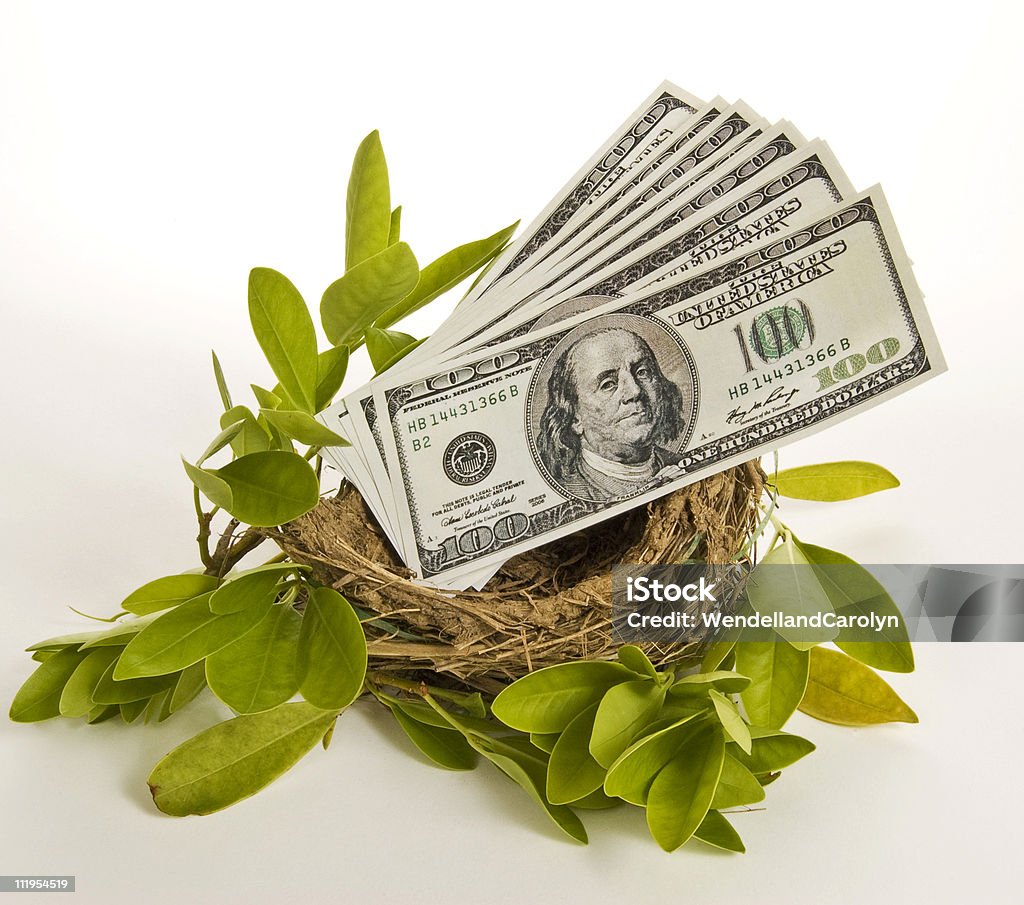 巣の中の卵 - 100ドル紙幣のロイヤリティフリーストックフォト