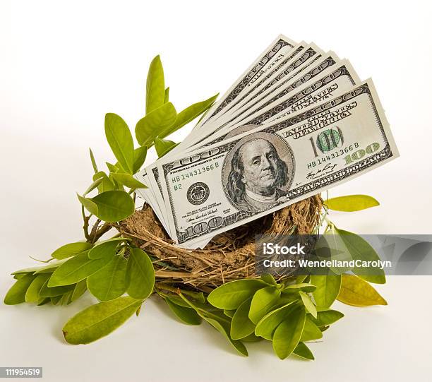 Яйцо Гнезда — стоковые фотографии и другие картинки 100 американских долларов - 100 американских долларов, Американская валюта, Без людей