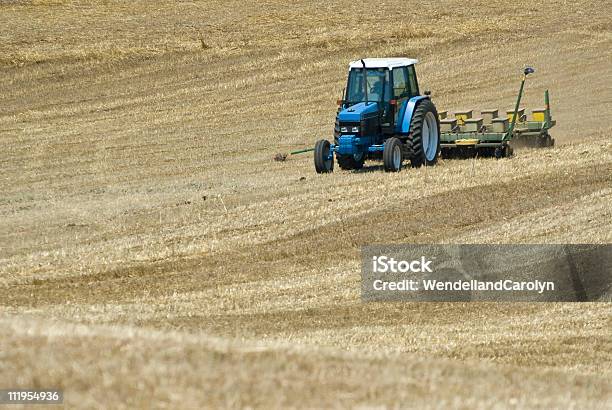 Seeding Campo Trattore - Fotografie stock e altre immagini di Agricoltura - Agricoltura, Ambientazione esterna, Aratro