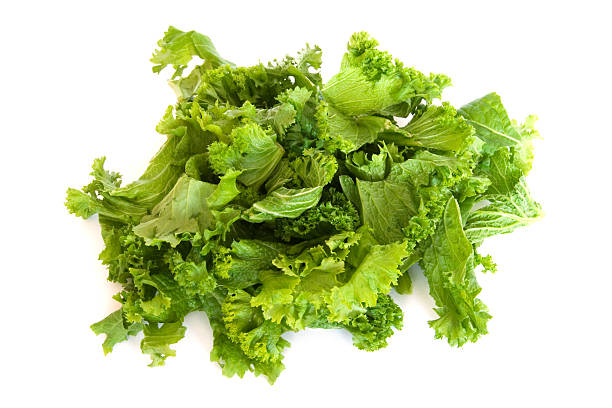 istock Pile of raw mustard greens on white 111955662