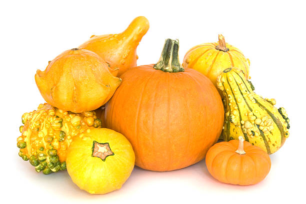 istock Composition of pumpkins and gourds on white 111955704