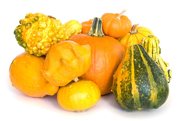 istock Composition of pumpkins and gourds on white 111955862