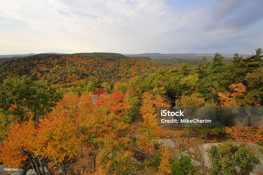 New England Herbstlaub Blick - Lizenzfrei Ahorn Stock-Foto