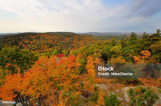 New England Herbstlaub Blick Stockfoto und mehr Bilder von Ahorn - Ahorn, Ansicht aus erhöhter Perspektive, Baum