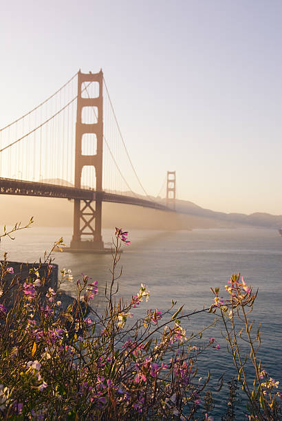 istock San Fransisco Golden Gate Bridge at sunset 111962885