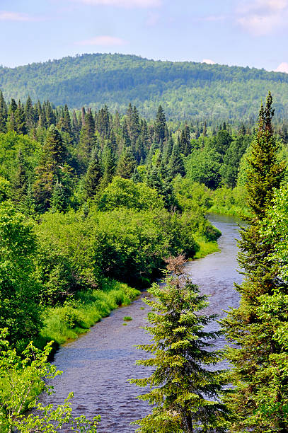 istock North Country Trout River 111963203