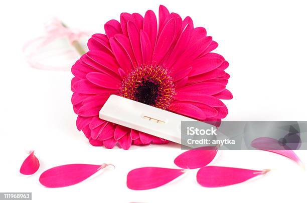 Positive Pregnancy Test And Gerbera Stock Photo - Download Image Now - Flower Head, Hormone, Beauty