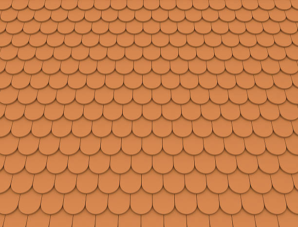 istock Roof tiles 111971393