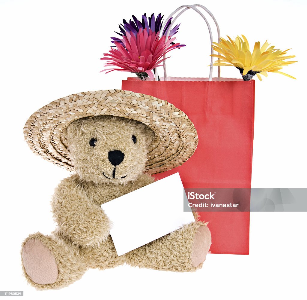 Urso de Pelúcia com Cartão de nota em branco vai às compras - Royalty-free Amor Foto de stock