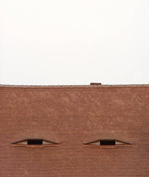 eyed en el último piso (transilvania - roof tile roof textured red fotografías e imágenes de stock