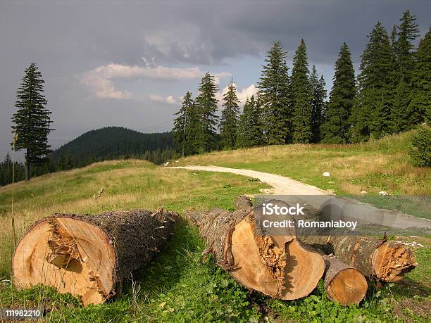 Photo libre de droit de Enregistrer La Forêt banque d'images et plus d'images libres de droit de Arbre - Arbre, Bois coupé, Ciel