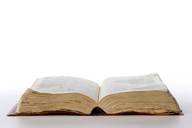 istock Isolated shot of opened old dictionary on white background 111999467