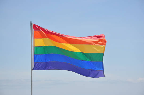 istock Gay Flag Waving 112035167