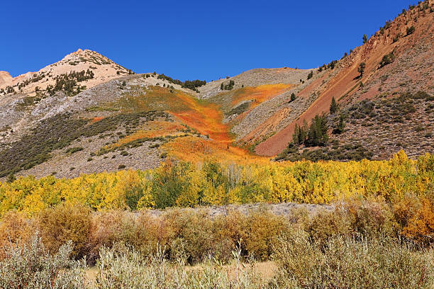 istock California. Mountain slopes 112035392