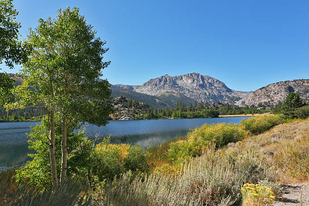 istock Travel across the USA 112035816