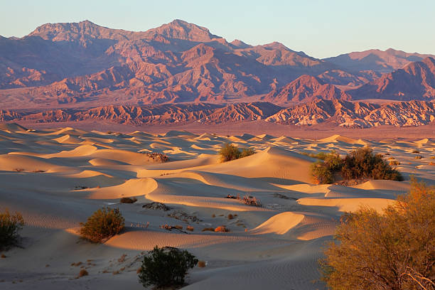 istock Place in Death Valley - Mesquete Flat 112036056