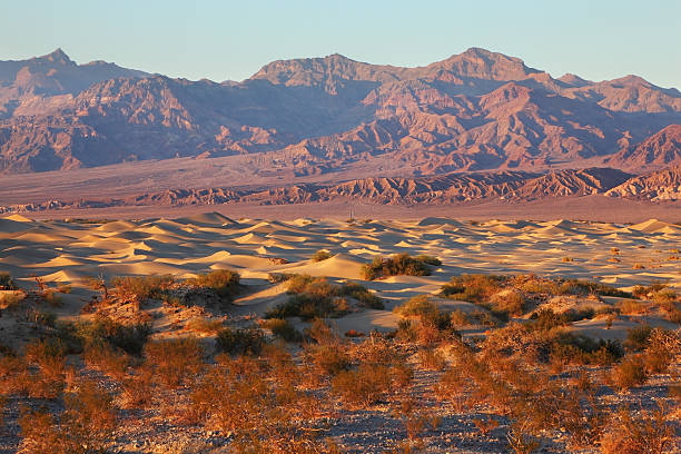 istock Soft, sandy waves lit by the rising sun 112036262