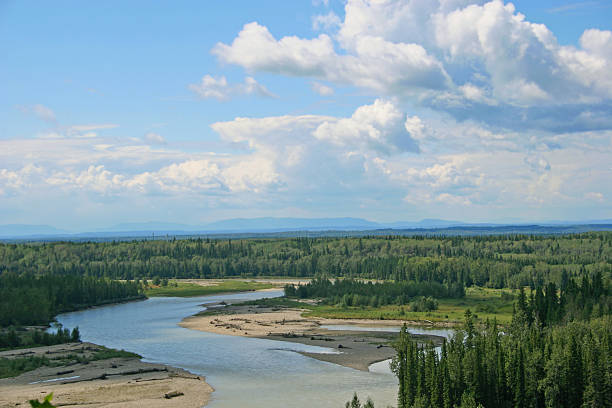 río saskatchewan del norte - north saskatchewan river fotografías e imágenes de stock