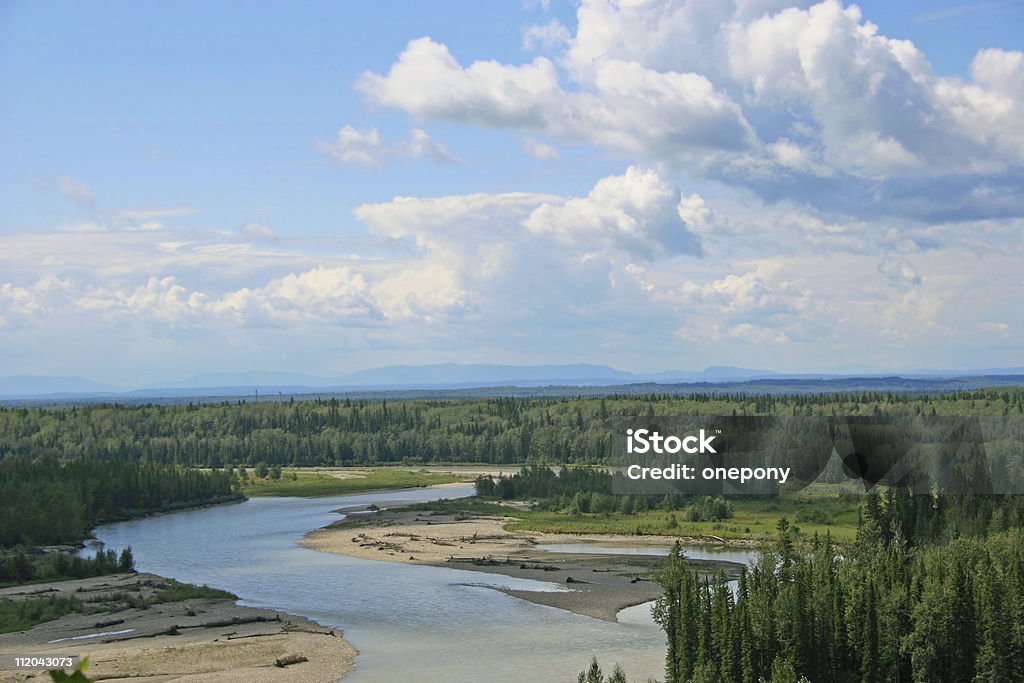 Fiume Saskatchewan del nord - Foto stock royalty-free di Alberta