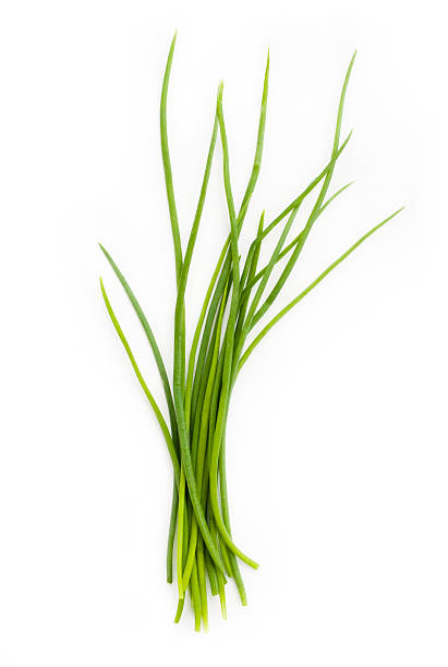 Mazzo di erba cipollina fresca - foto stock