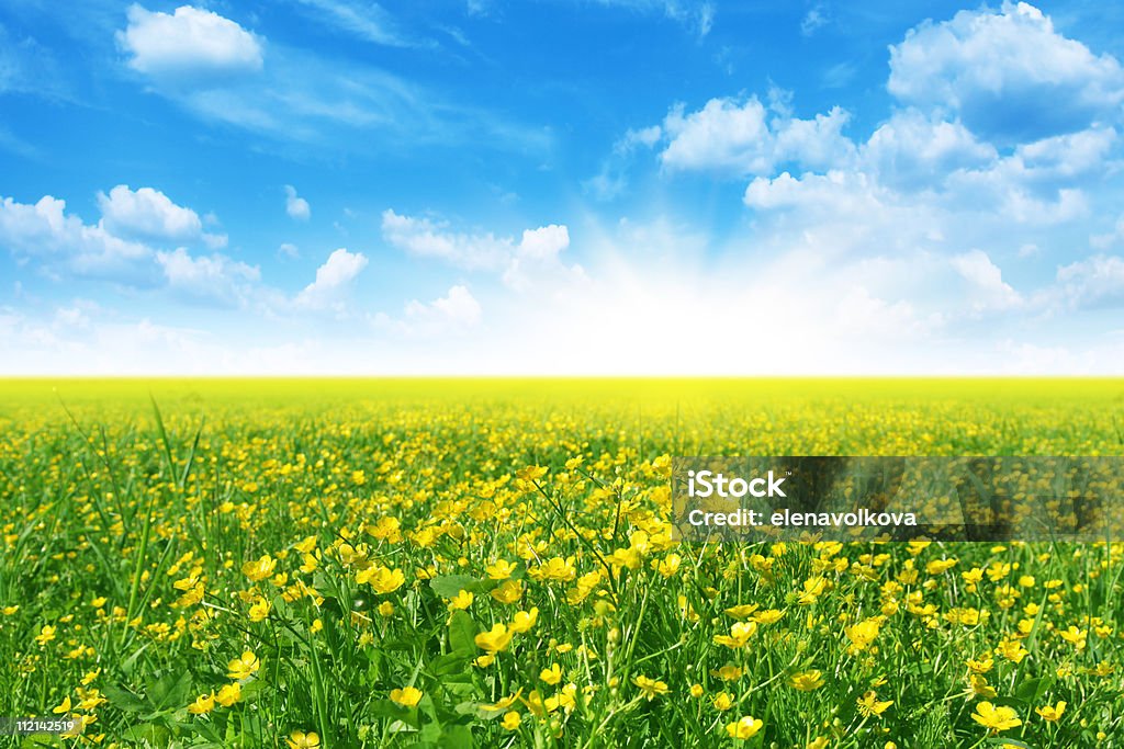 Primavera paisagem. - Foto de stock de Amarelo royalty-free