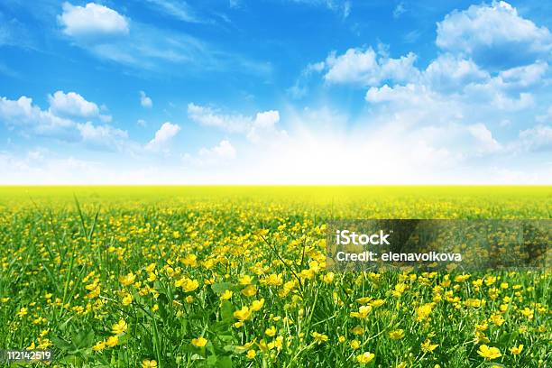 Foto de Primavera Paisagem e mais fotos de stock de Amarelo - Amarelo, Azul, Beleza natural - Natureza