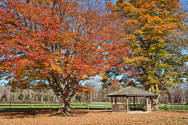 istock Gazebo in Autumn 112150339
