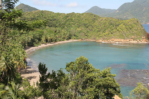 istock Batibou neach, Dominica, Caribbean 112257256
