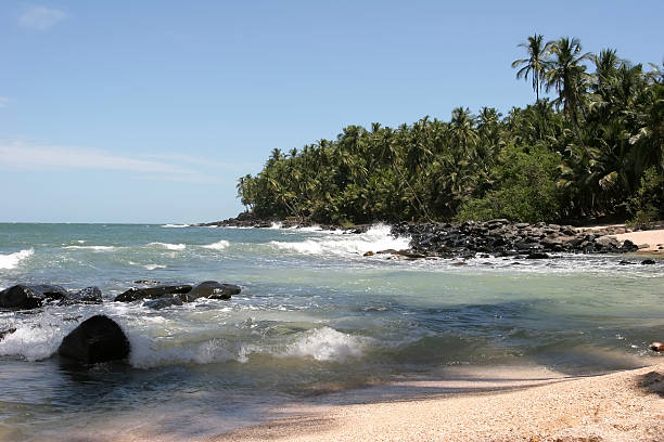 île de saint-joseph, amérique du sud, guyane française - island prison photos et images de collection