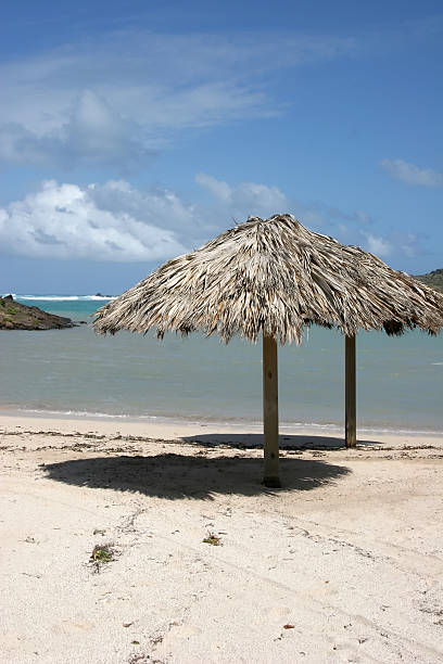istock caribbean lagoon in St Barth, grand cul-de-sac 112257669